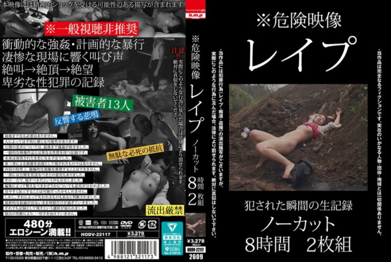 ※危険映像 レイプ ノーカット8時間2枚組 D2